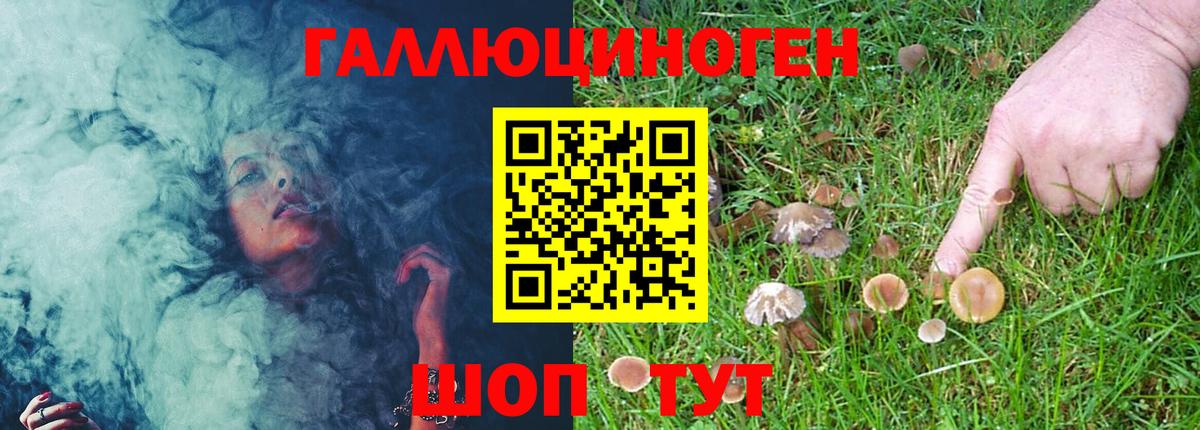 Архангельск  Псилоцибиновые грибы MAGIC MUSHROOMS  Вход с VPN 