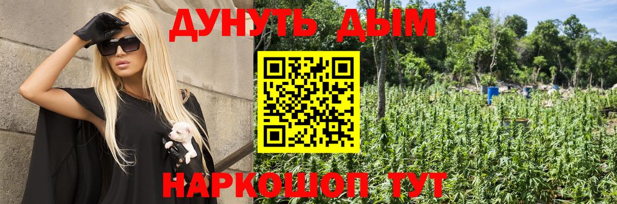 Бошки Шишки план Архангельск